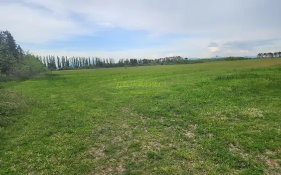 Земля для продажи.