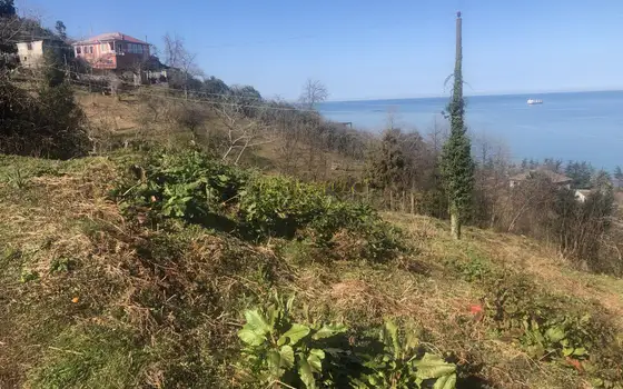 Продается земельный участок с видом на море и на горы в Махинджаури.