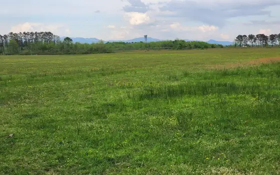 Земля для продажи.