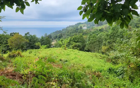 2207 m² Plot in Sarpi with Views, photo 6