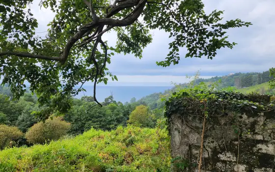 2207 m² Plot in Sarpi with Views, photo 3