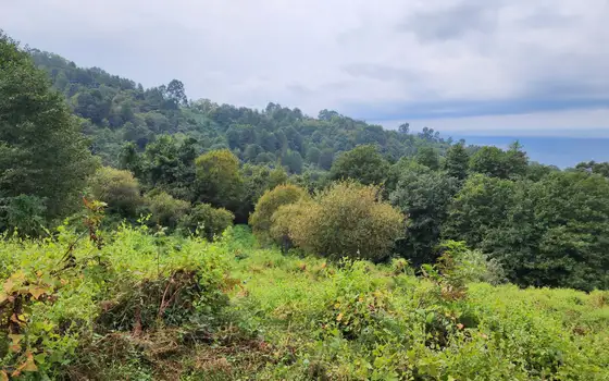 2207 m² Plot in Sarpi with Views, photo 8