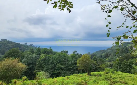 Участок с видом на море в Сарпи.