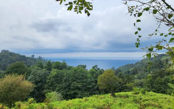 2207 m² Plot in Sarpi with Views, photo 9