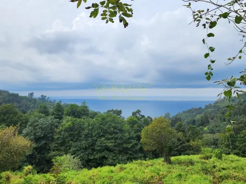 Участок с видом на море в Сарпи.