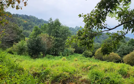 2207 m² Plot in Sarpi with Views, photo 2