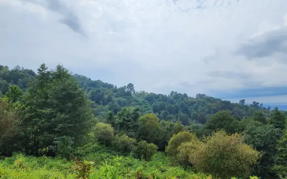 2207 m² Plot in Sarpi with Views, photo 11