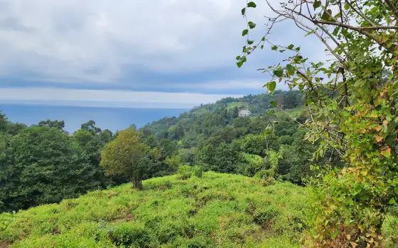 2207 m² Plot in Sarpi with Views, photo 10