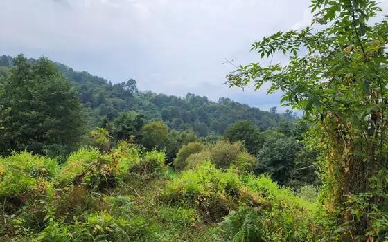 2207 m² Plot in Sarpi with Views, photo 7