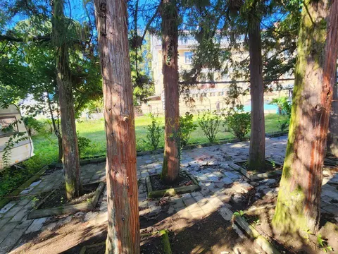 Гостиница в Уреки, рядом с церковью, вторая полоса от моря.