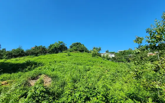 3621 sq.m Land Plot in Chakvi Near the Sea, photo 7