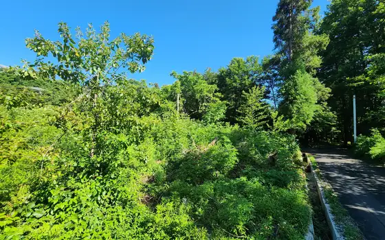 3621 sq.m Land Plot in Chakvi Near the Sea, photo 9