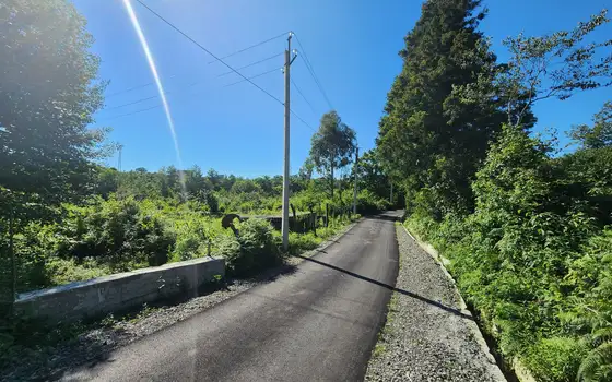 3621 sq.m Land Plot in Chakvi Near the Sea, photo 11