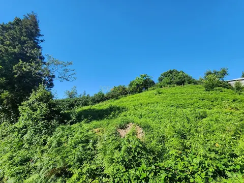 Инвестиционный земельный участок в Чакви.