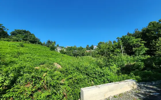 3621 sq.m Land Plot in Chakvi Near the Sea, photo 3