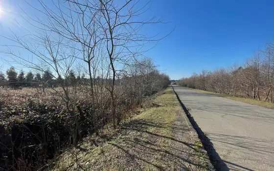 3306 m² Plot Near Black Sea, photo 2