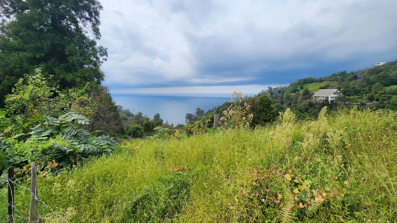 Land Plot in Sarpi with Utilities, photo 1