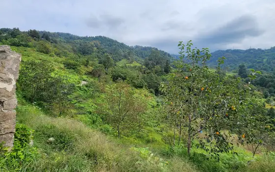 Land Plot in Sarpi with Utilities, photo 5