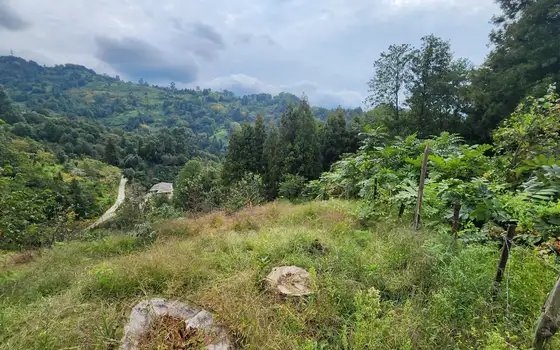 Land Plot in Sarpi with Utilities, photo 7