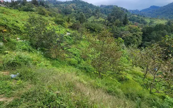 Land Plot in Sarpi with Utilities, photo 9