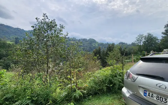 Land Plot in Sarpi with Utilities, photo 12
