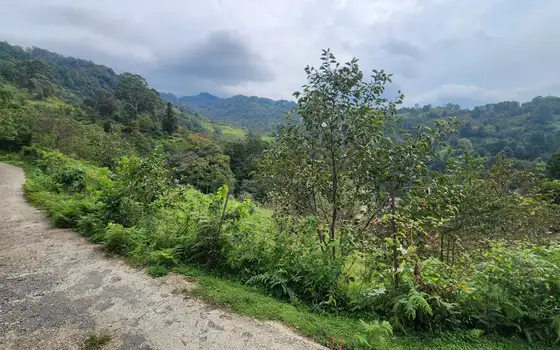 Land Plot in Sarpi with Utilities, photo 11