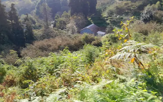 4599 m² Land Plot in Makhinjauri, photo 9