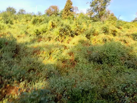 Земельный участок в Махинджаури.