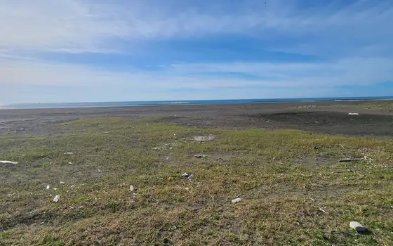 500 m² seaside land in Grigoleti, photo 8