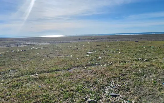 500 m² seaside land in Grigoleti, photo 6