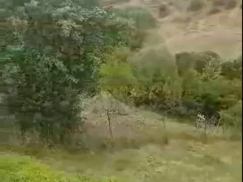 Земельный участок в муниципалитете Адигени.