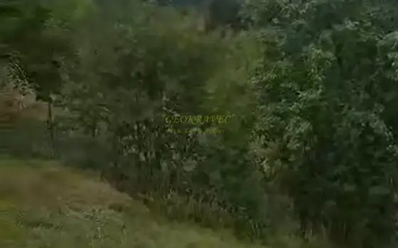 Земельный участок в муниципалитете Адигени.