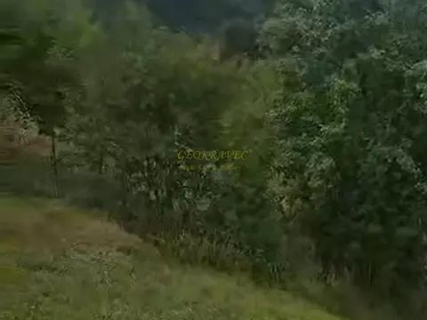 Земельный участок в муниципалитете Адигени.