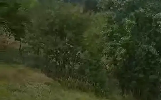 Земельный участок в муниципалитете Адигени.