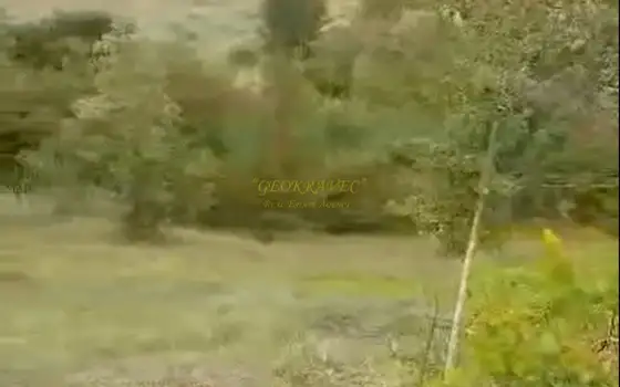 Земельный участок в муниципалитете Адигени.