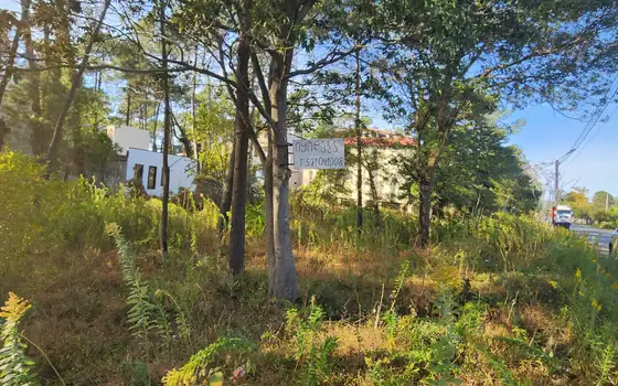 Urgent land plot in Grigoleti near beach, photo 6