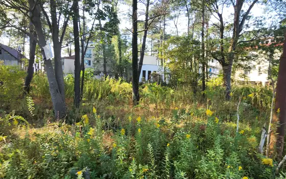 Urgent land plot in Grigoleti near beach, photo 4