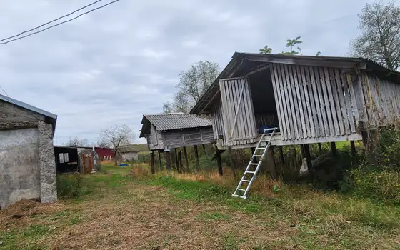 Земельный участок в муниципалитете Озургети.