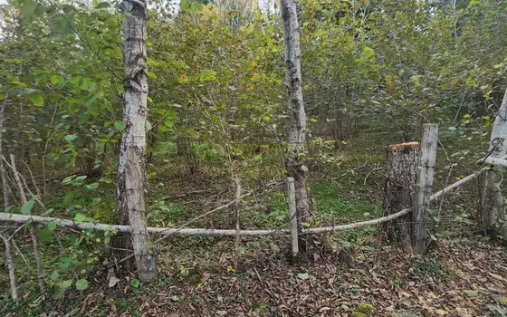 Земельный участок на берегу реки.