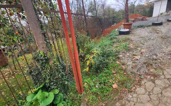 2501 m² Land Plot in Chakvi with Sea View, photo 10