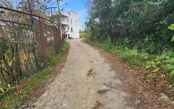 2501 m² Land Plot in Chakvi with Sea View, photo 6