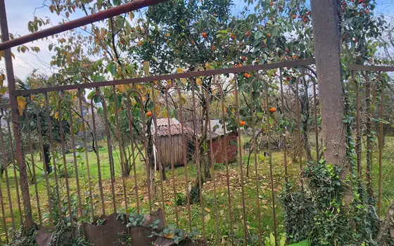 2501 m² Land Plot in Chakvi with Sea View, photo 8