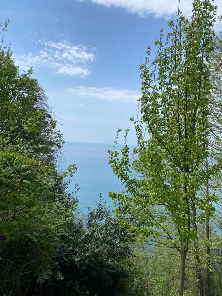3352 m² Land Plot in Sarpi with Sea View, photo 1