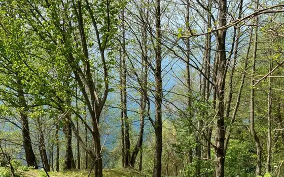 Продается земельный участок с видом на море.