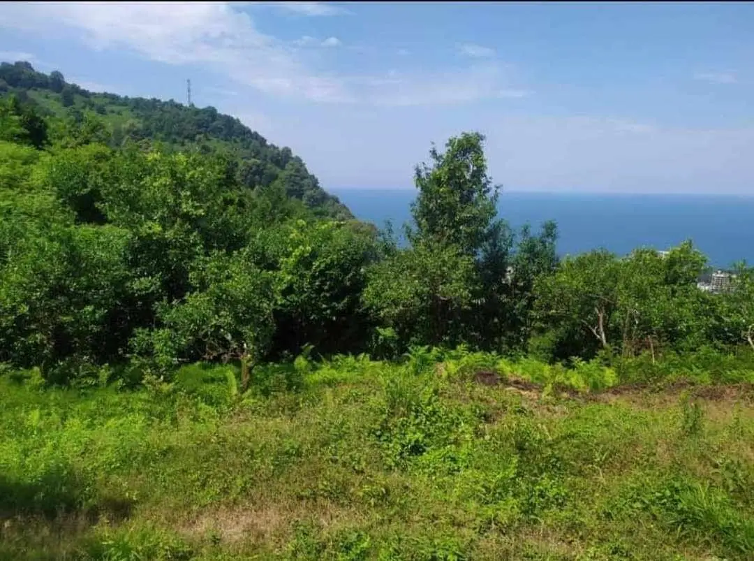 1230 sq.m Land Plot with Sea View in Gonio, photo 1