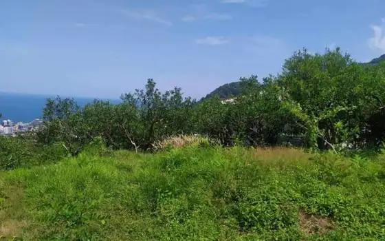 1230 sq.m Land Plot with Sea View in Gonio, photo 7