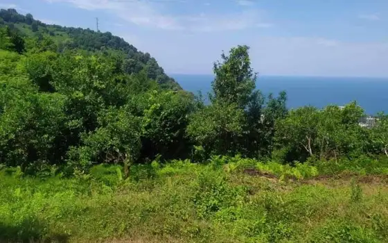 Участок 1230 м² с видом на море в Гонио - изображение 1