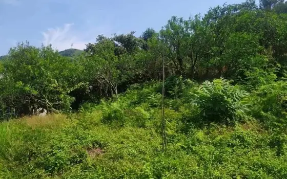 1230 sq.m Land Plot with Sea View in Gonio, photo 9