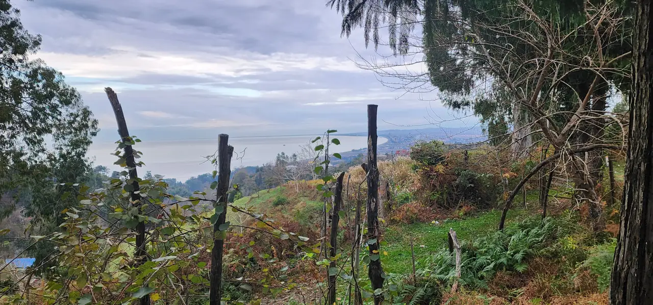 Investment Land in Tsikhisdziri with Sea View, photo 1