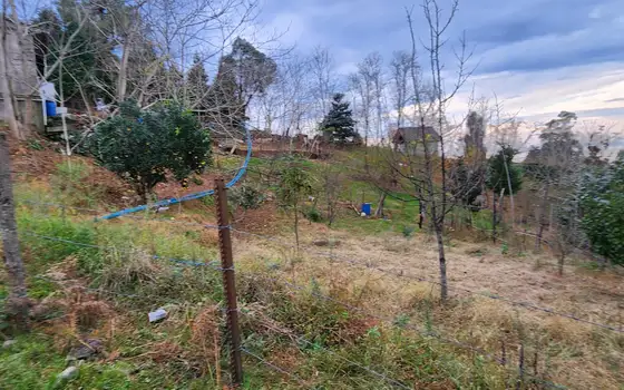 Investment Land in Tsikhisdziri with Sea View, photo 7